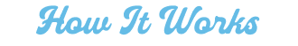 Section Logo