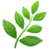 CANNABIS BRANDS